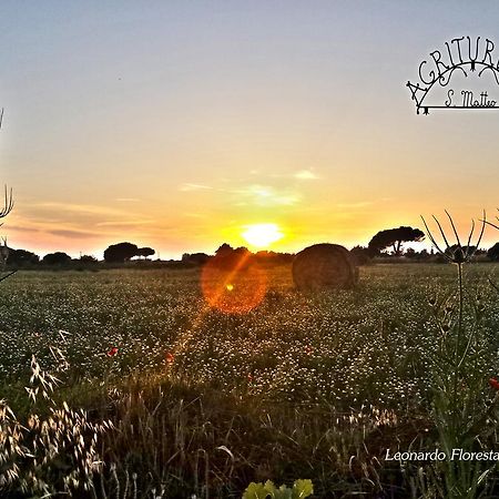 Agriturismo San Matteo Tarquinia Kültér fotó