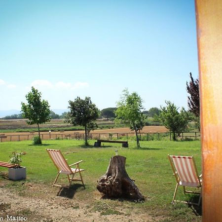 Agriturismo San Matteo Tarquinia Kültér fotó