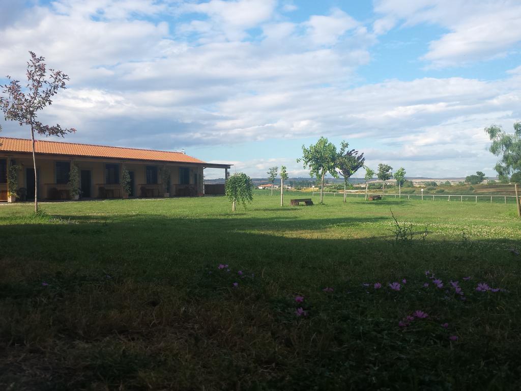 Agriturismo San Matteo Tarquinia Szoba fotó