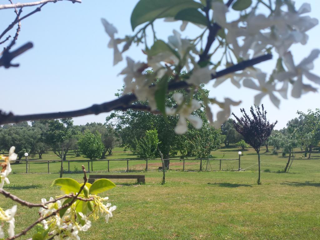 Agriturismo San Matteo Tarquinia Szoba fotó