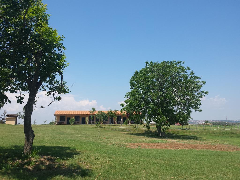 Agriturismo San Matteo Tarquinia Szoba fotó