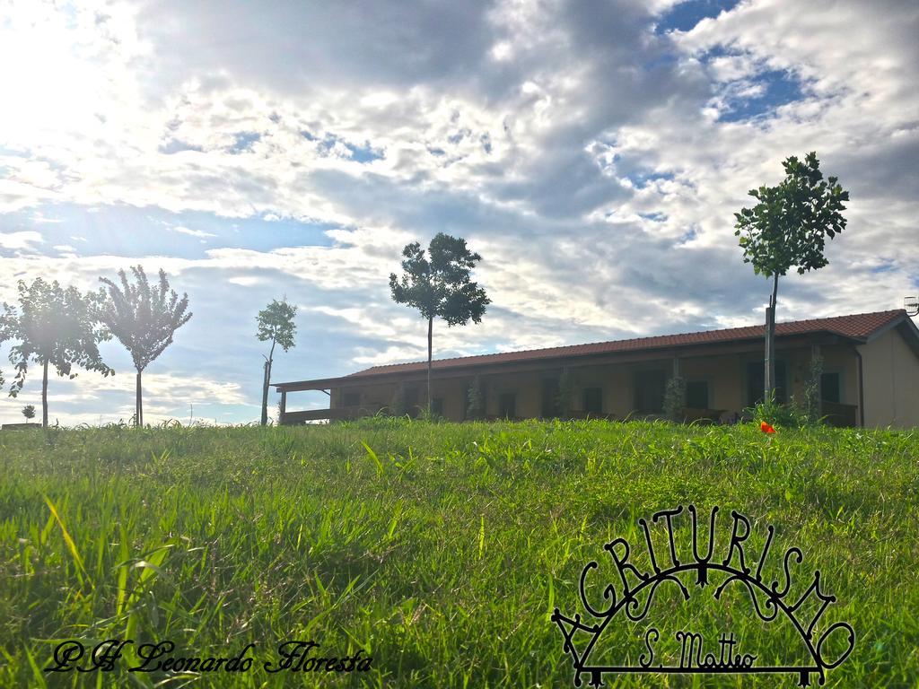 Agriturismo San Matteo Tarquinia Kültér fotó