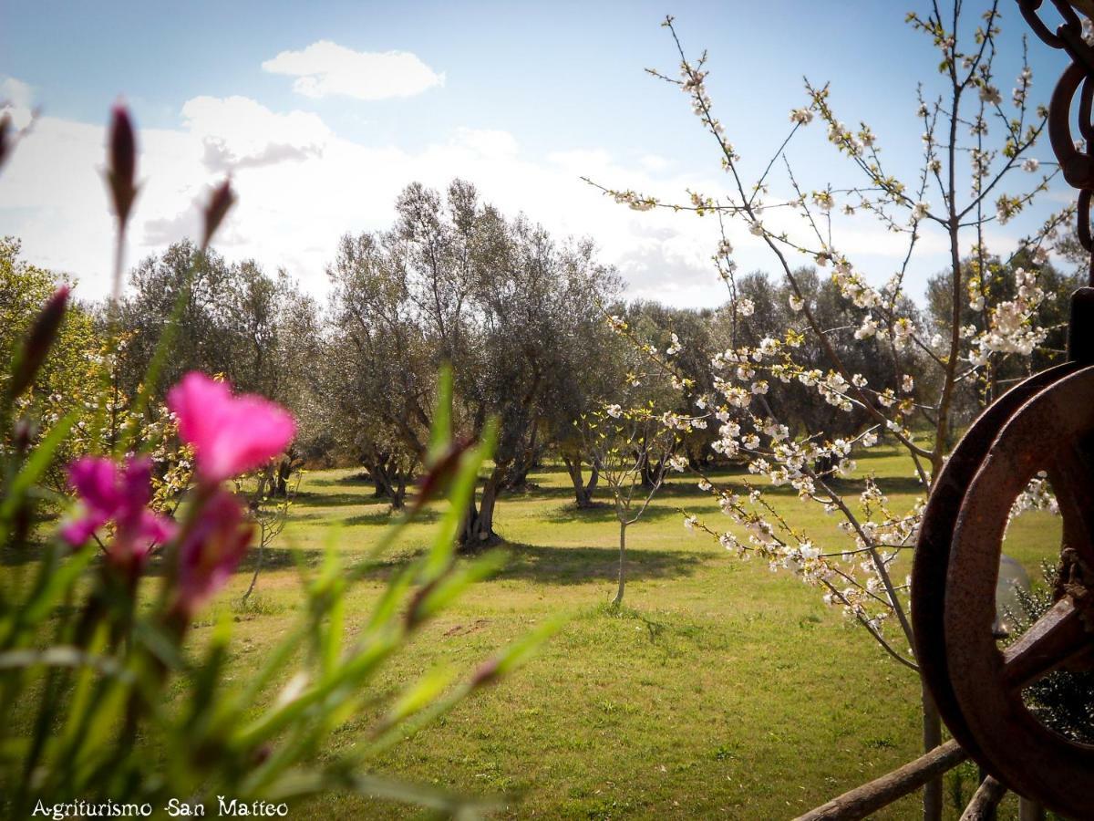 Agriturismo San Matteo Tarquinia Kültér fotó