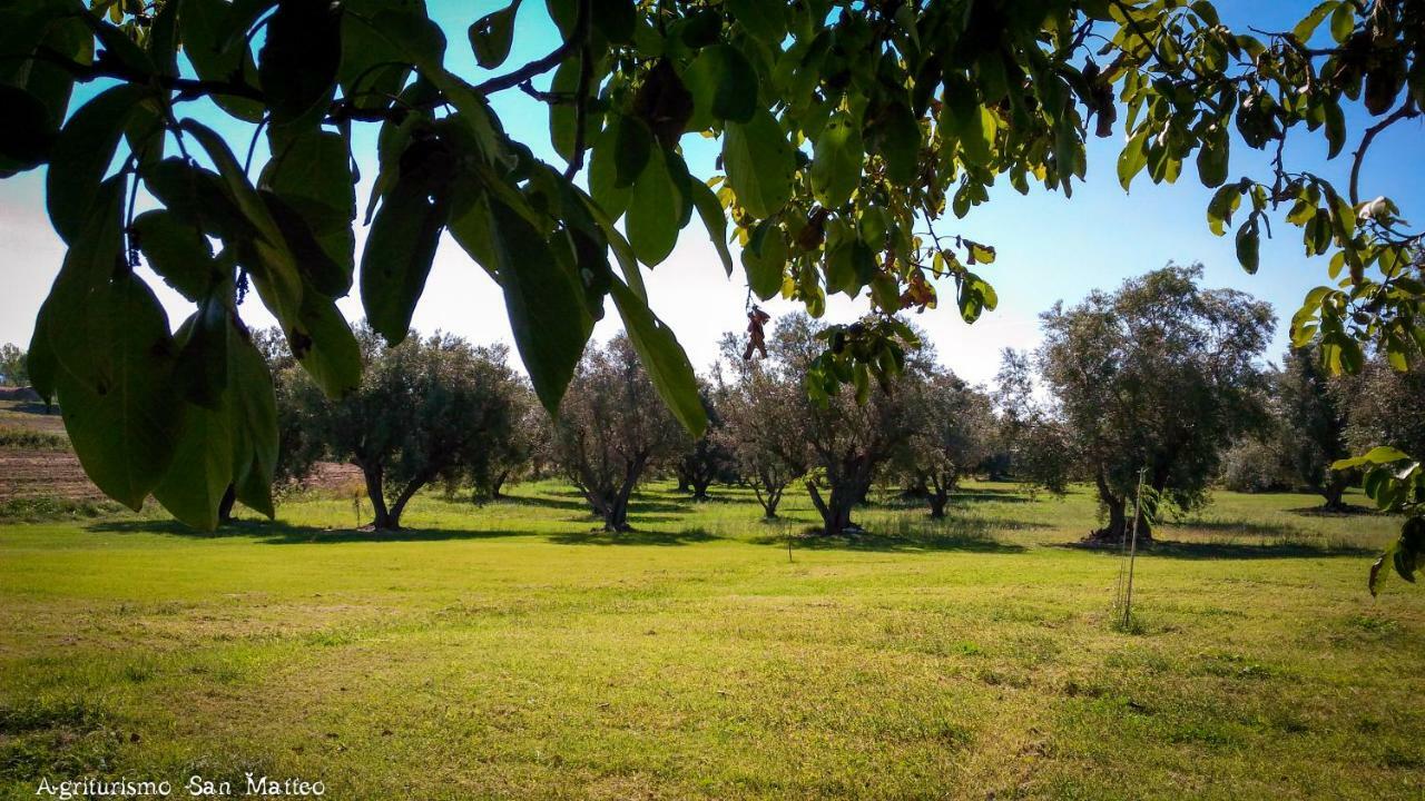 Agriturismo San Matteo Tarquinia Kültér fotó