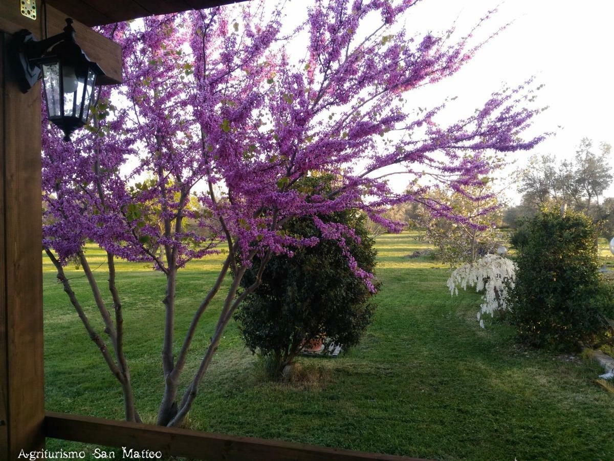 Agriturismo San Matteo Tarquinia Kültér fotó