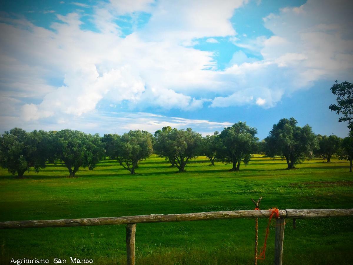 Agriturismo San Matteo Tarquinia Kültér fotó