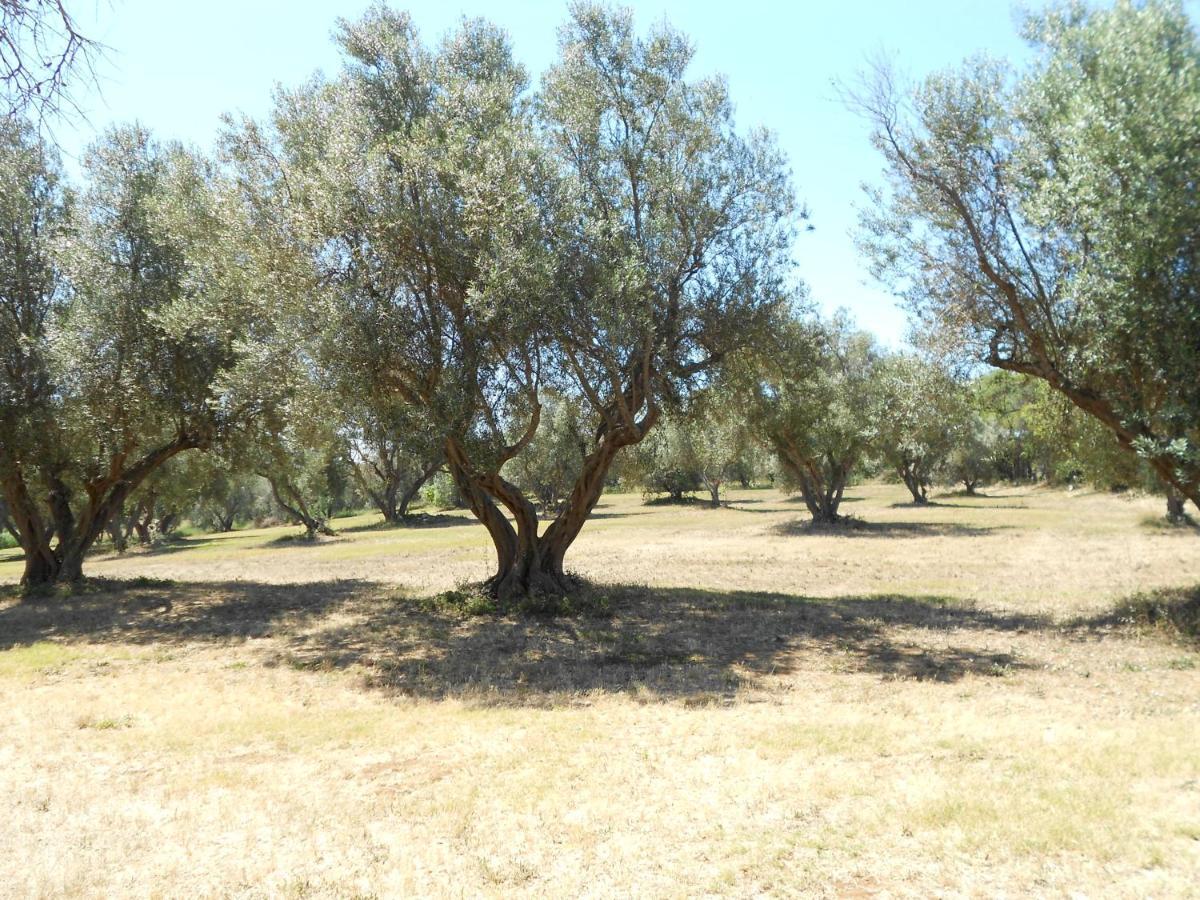 Agriturismo San Matteo Tarquinia Kültér fotó