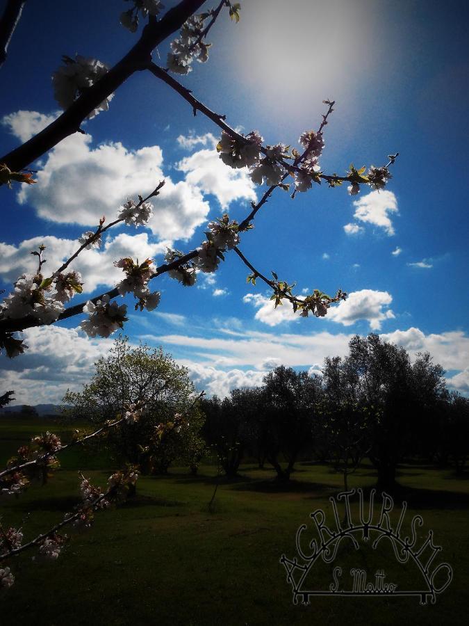 Agriturismo San Matteo Tarquinia Kültér fotó
