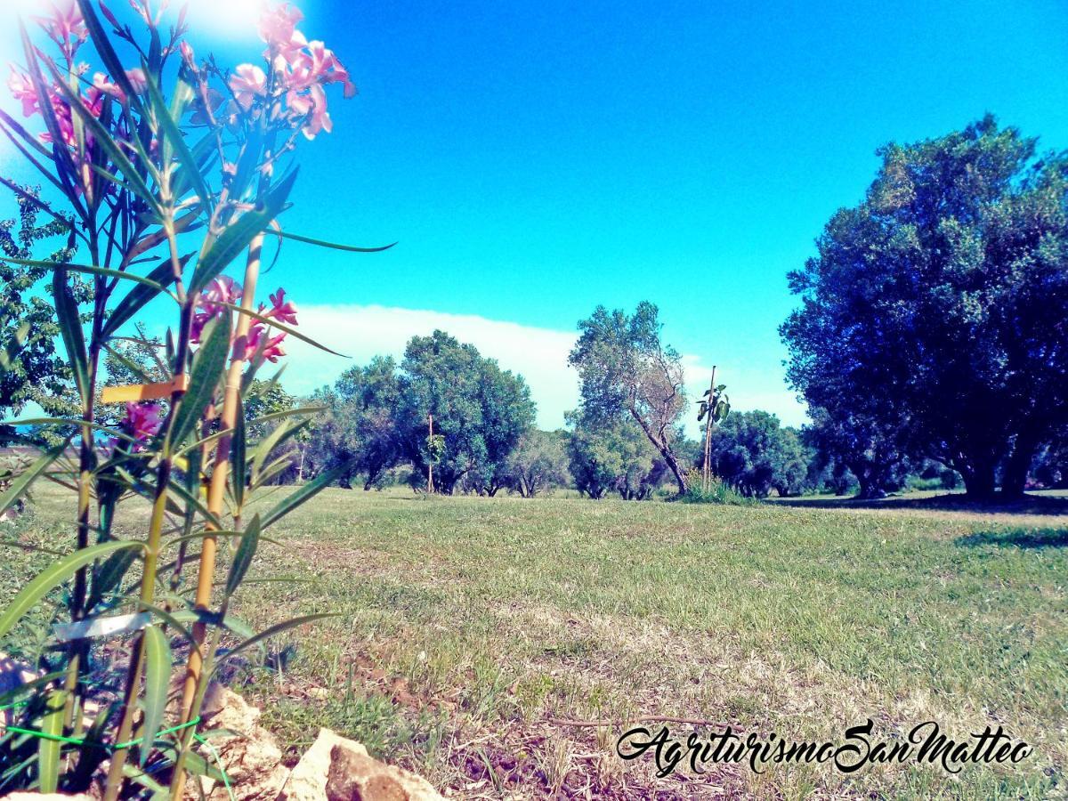 Agriturismo San Matteo Tarquinia Kültér fotó