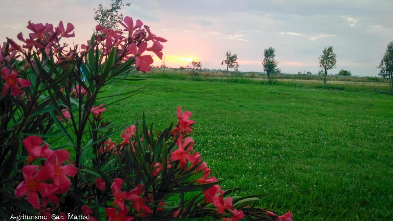 Agriturismo San Matteo Tarquinia Kültér fotó